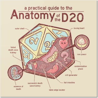 Anatomy of the D20 Posters and Art